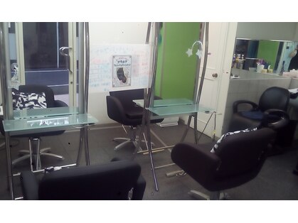 ビューティーパリデージーの写真