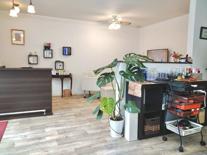 モカ(MOKA)の写真