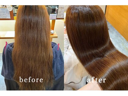 リリー(Liliy)の写真