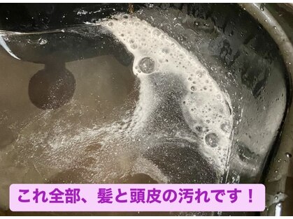 ダブルアームズ(W ARMS)の写真