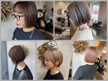 カロ(Caro)の写真