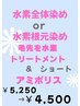 オープンキャンペーン髪質改善白髪全体染めショート高濃度水素カラー