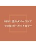 NEW!夏のダメージケア 4stepTR+カットカラー