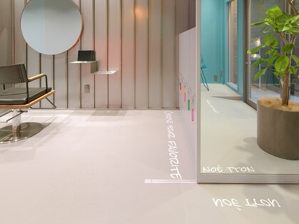 ノエ トトン(noe tton)の写真