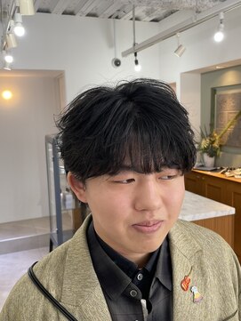 メゾン(Maison) ダークアッシュ韓国ニュアンスパーマシースルーマッシュ