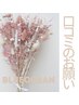 【口コミ投稿のお願い☆】ご協力を宜しくお願い致します。