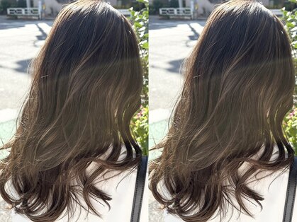 リヴナ(Livna)の写真