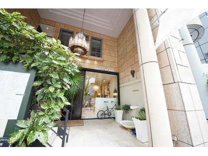 ミステローマ(MISTEROMA)の写真