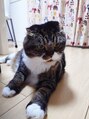 ブルーム(Bloom)&nbsp;うちの可愛いおじいちゃんにゃんこ。