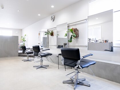 カミラ(camilla)の写真