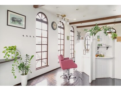 アグー(AgU-)の写真