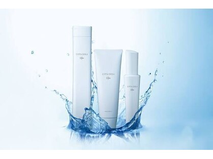 ダリア(DAHLIA)の写真