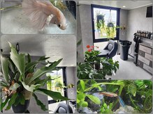 エステラ(ESTELA)の雰囲気（ヘアセット意外にもヘッドスパ、眉やマツエク、マツパもできます）