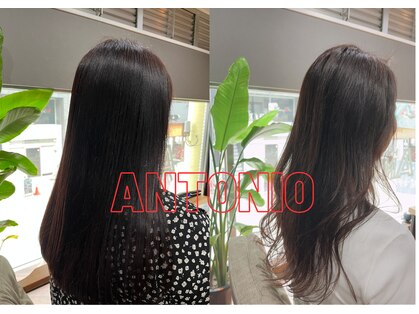 アントニオ(ANTONIO)の写真