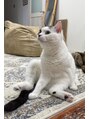 ズール 生田店(ZU LU)&nbsp;スコを飼っています、猫好きです！