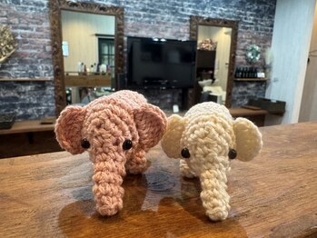 モアニヘアー(moanihair)の写真/お喋りモンスターが2名いますが静かにもできます。