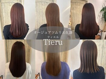 Ｔｉｅｒｕ【ティエル】