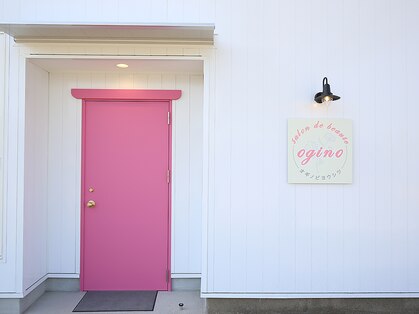 オギノ(ogino)の写真