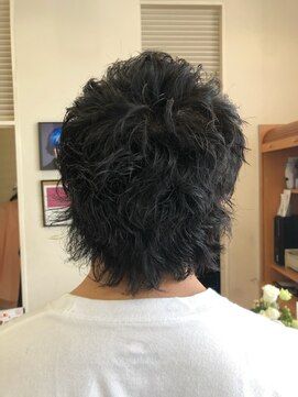 シャンプーボーイ ヒノ(SHAMPOO BOY Hino) ウルフ×ツイスト