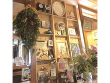 ピリカ(pirika)の雰囲気（まるで森の中にいるような癒し空間♪〈橋本〉）