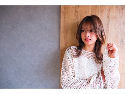 シャングリラ(shangri-la)の写真