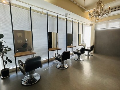 ムジカ musicaの写真