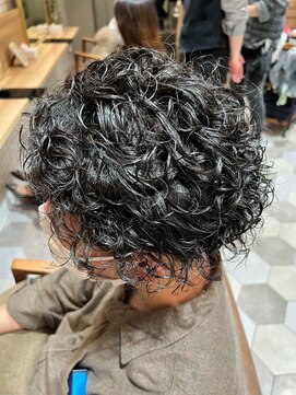 カルテット(Quartett) 【Quartett】 ワイルドスパイラル