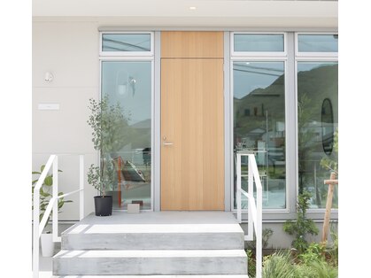 ステラ(stella.)の写真