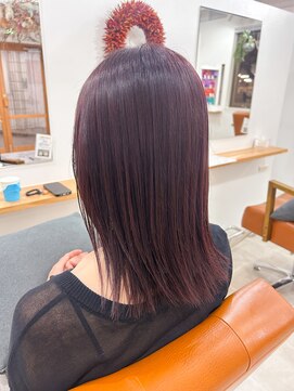 シーバイトリコ 市川(SEA by tricot) ボルドーブラウン