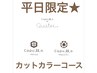 【即日予約可能】15時以降限定★頭皮と髪を整えるサロン★カットカラー