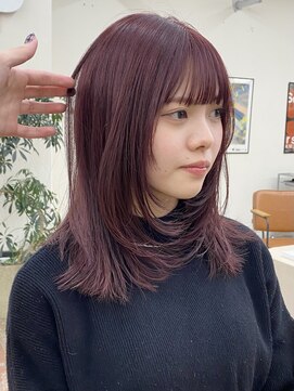 ブリーチなしカラーブリーチ無しダブルカラー冬カラー