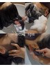 【★SAKURA限定★】~癒し~本格ロングヘッドSPA60分コース◎(カット無し)