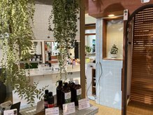 モアの雰囲気（植物好きな店主がお待ちしております）