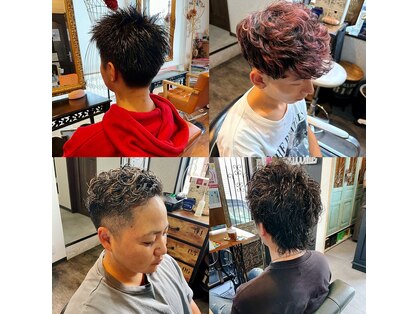 アルファースクーシー(a,scusi?)の写真