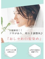 アウラ(AULA)&nbsp;【113.ツヤがあり、明るさも調整OK♪おしゃれ白髪染め】