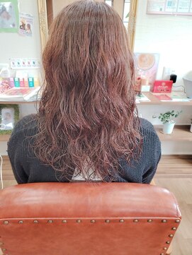 フィカス(Ficus) フェミニン愛されスタイル