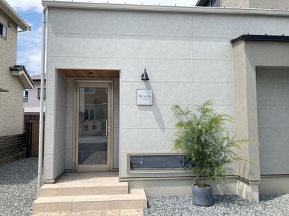 ミモザドット(Mimosa.)の写真