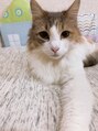 リアン 東大宮駅前店(Lian)&nbsp;ノルウェージャンフォレストキャット飼ってます