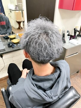 ヌーベルバレ(Nouvelle Vallee) シルバーヘアー