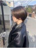 マニッシュショート/グレーアッシュ
