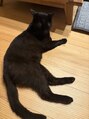 ソルナ(soluna) 家に黒猫さんがいます！