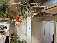ユニ(uni)の雰囲気(女性も男性も落ち着いて過ごせる空間作りを心がけています)