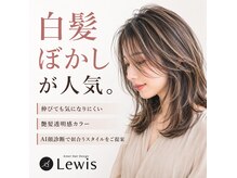 エメヘアデザイン ルイス(Aimer Hair Design Lewis)