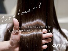 カットインホンテン(CUT IN HONTEN)