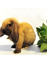 ビアスバイクインズベリー(VIAS by Queen's Berry) リリィ