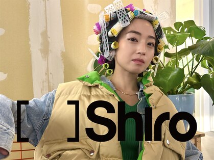 シロ(Shiro)の写真