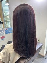 エルパライソ リフォ(Elparaiso Reff)&nbsp;人気color ボルドー