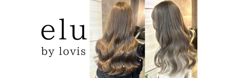 エルバイラビス 大宮(elu by lovis)のサロンヘッダー