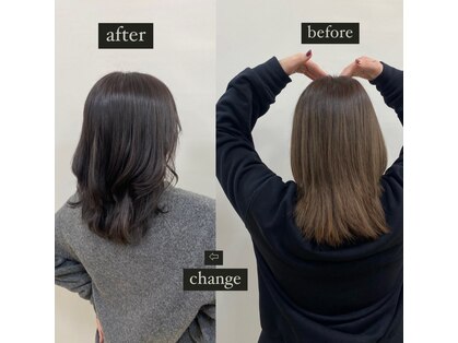 ディルガ リンク(Dilga LINK)の写真