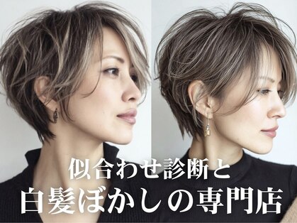 Heart's美人設計と白髪ぼかし専門店 青山表参道店 脱白髪染め/ショートヘア【ハーツ】の写真